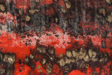 Paslı metal doku alt gemi.