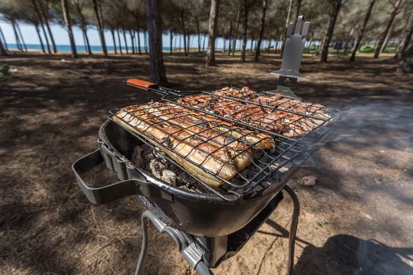 Stove use charcoal for grill food. — Stock Photo, Image