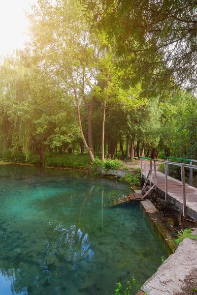 Ponte di legno nel parco vicino al lago. — Foto Stock