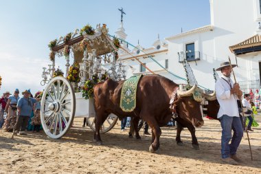 El Rocio, Endülüs, İspanya - 22 Mayıs: Kutsal ziyaret ettikten sonra Romeria köye gider.