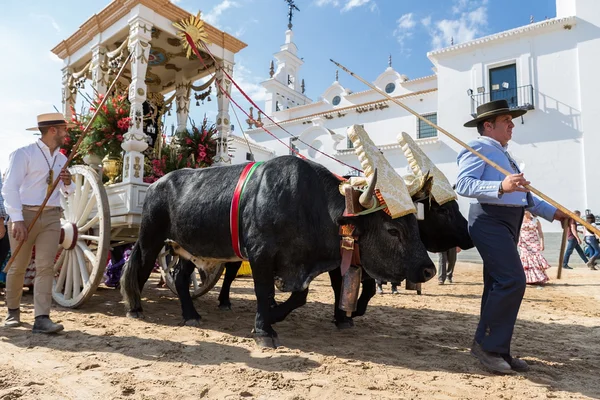 El Rocio, Ανδαλουσία, Ισπανία - 22 Μαΐου: Romeria μετά την επίσκεψη ιερό πηγαίνει στο χωριό. — Φωτογραφία Αρχείου