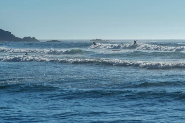 Dalganın tepesinde sörfçü, sörf tahtası üzerinde. Profesyonel eğitim.. — Stok fotoğraf