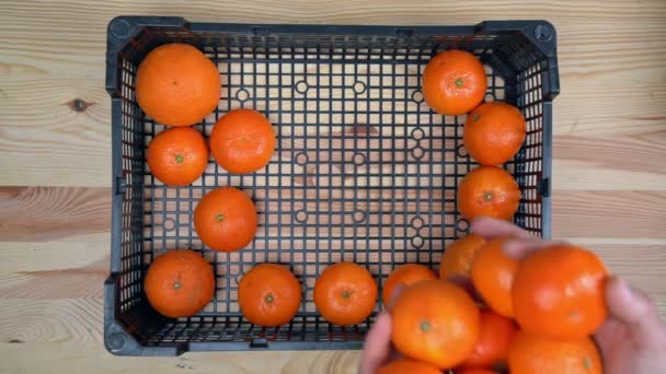 A mans hands lay ripe tangerines, an exotic fruit, in a delivery box during a pandemic. On a wooden background. — Stock Video