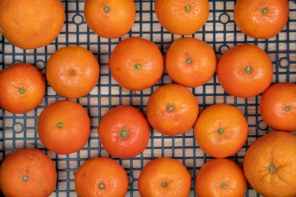 Exotiska citrusfrukter, tangeriner klementiner, i en plastlåda, närbild, ovanifrån. Vitaminer för hälsan. — Stockfoto