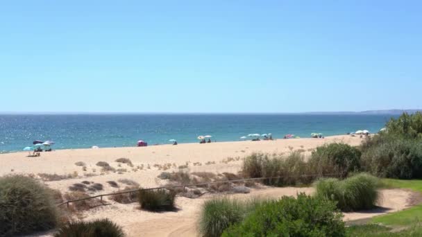 Campo herboso cerca de una playa de aspecto agradable y el agua del océano reluciente en Vale do Lobo, Portugal. — Vídeos de Stock