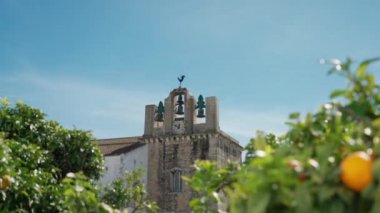 Kilise ve çan kulesi manzarası, Portekiz Faro 'daki Santa Maria, eski kasaba, olgun portakal ağaçları arasında..