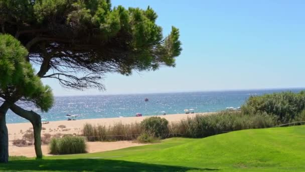Panning πυροβόλησε από πυροβόλησε ωραία αναζητούν δέντρα και μια παραλία σε ένα πράσινο γήπεδο γκολφ στο Vale do Lobo, Πορτογαλία. — Αρχείο Βίντεο