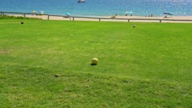 Çimenli bir golf sahası, açık mavi bir okyanus, uzakta bir yat ve sahilde bazı insanlar. Vale do Lobo, Portekiz.