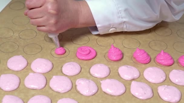 Пекарь использует кондитерскую сумку, чтобы заполнить круглые формы на пергаментной бумаге с другим цветным оттенком розового теста. Изготовление макарон. — стоковое видео