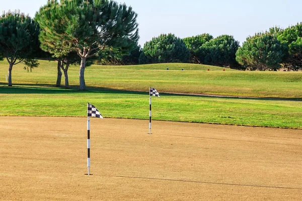 Aesthetic shot of a golf field with two checkered flag poles in holes. Vegetation and trees in the background with a clear sky.