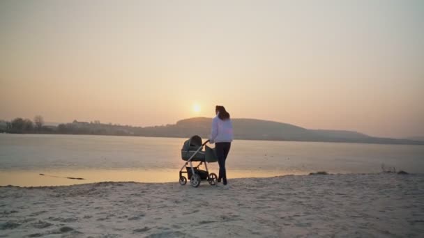 Młoda kobieta z wózkiem i noworodkiem spacerującym po wiosennym jeziorze. O zachodzie słońca. Uczucia i emocje macierzyńskie. — Wideo stockowe