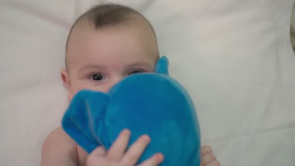 갓 태어난 아기는 만족스럽고 행복하게 놀면서 긍정적 인 감정을 가지고 있다. 부드러운 장난감, 푸른 코끼리. 닫아. — 비디오