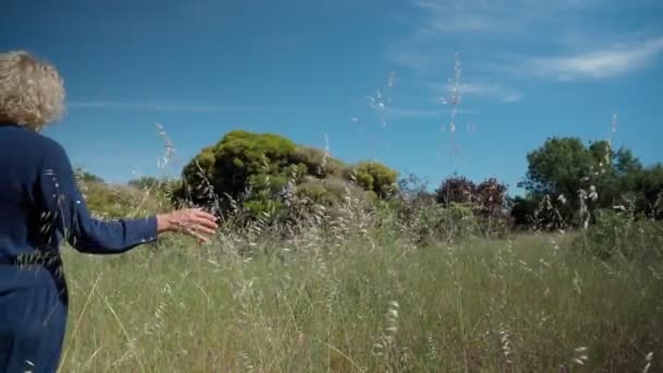 Eine Europäerin mittleren Alters in einem Kleid geht auf einem Prak mit hohem Gras. Mit philosophisch-romantischer Stimmung. Zeitlupe — Stockvideo