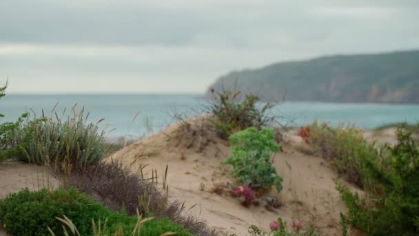 Dramatisch romantische Landschaft von Grasdünen bei bewölktem Wetter. Im Hintergrund Berge. Portugal. — Stockvideo