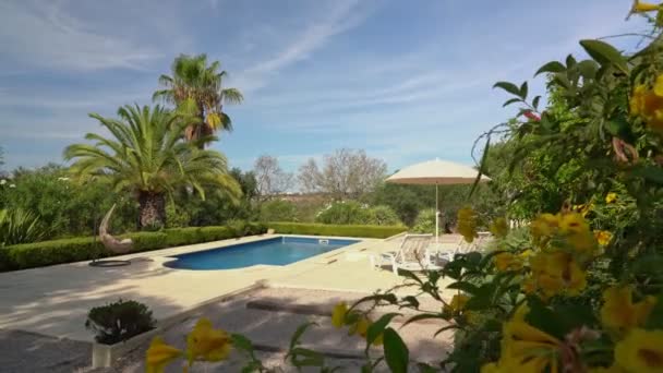 Luxueuse piscine de loisirs pour touristes. Beau jardin. Journée ensoleillée. — Video