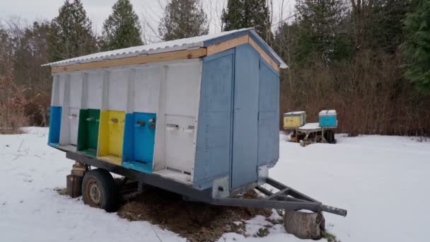 Imker halten Bienenstöcke für die Bienenzucht und die Honiggewinnung. Im Winter im Wald platziert. Schnee auf dem Boden. — Stockvideo