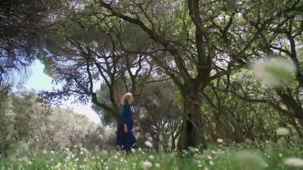 Eine Europäerin mittleren Alters in einem Kleid geht auf einem Prak mit hohem Gras. Mit philosophisch-romantischer Stimmung. Zeitlupe — Stockvideo