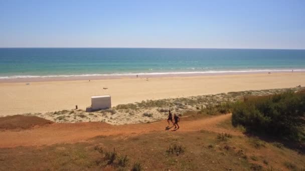 Luftaufnahme eines älteren Mannes mit einem Fitnesstrainer, der an der Meeresküste entlang läuft. Eine Klippe im Grünen. Seitenansicht. Sonniger Tag. — Stockvideo