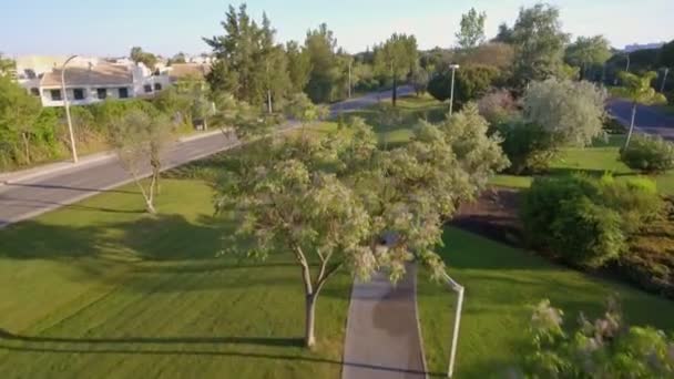 Vue aérienne femme de course avec entraîneur de fitness d'âge moyen dans le parc sur piste d'asphalte. Route nationale. Arbres, herbe verte, pelouse. Journée ensoleillée. — Video