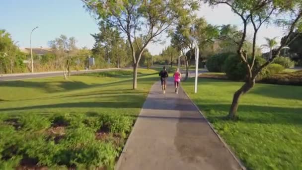 Mujer corriendo vista aérea con entrenador de fitness de mediana edad en el parque en pista de asfalto. Árboles, hierba verde, césped. Vista trasera. — Vídeos de Stock