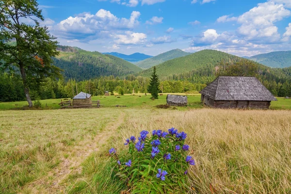 Schöne Landschaft der Karpaten. Im Hinblick auf die traditionellen Holzhaus. — Stockfoto