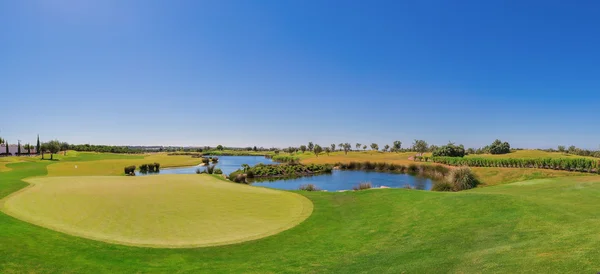 Летний обзор поля для гольфа. на озере. — стоковое фото