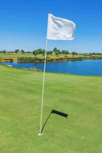Elements of a golf course flag and hole. Vertical format. — Stock Photo, Image