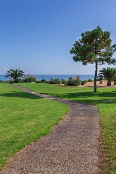 Trail in pad van het Golfpark op een zee-achtergrond. Met palmbomen. — Stockfoto