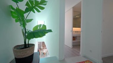 Minimalist beyaz ev iç mimarisi. Kapıya yakın saksıda canavarlar var. Yavaş yavaş doğal ışık ve zarif tasarımı olan geniş oturma odasını gözler önüne seriyor.