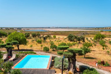 Ön planda berrak bir havuz ve parlak öğle güneşi altında tarlaları ve suyu barındıran çarpıcı bir doğal manzarayla en iyi rahatlama..