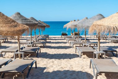 Salon sandalyeleri ve saman şemsiyeleri sakin okyanusun yanındaki kumlu plajda düzenlenir. Sandalyeler güneşli bir günde güneşli gökyüzünün altında suyla karşı karşıya.