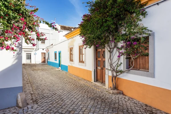 Típico callejón portugués. calle de la aldea. —  Fotos de Stock