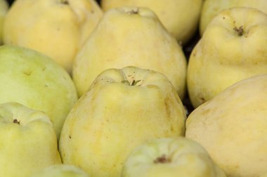 Sarı elma yakın çekim. Bir dizi.