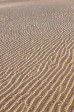 Dokusal dalgalı kum plaj. Çöl yaz.