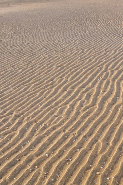 Zakole falisty piasku na plaży. Letnich pustyni. — Zdjęcie stockowe