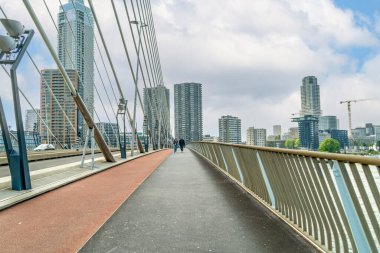 Rotterdam 'daki yüksek binalarla Erasmus Köprüsü' ndeki yaya yolu.