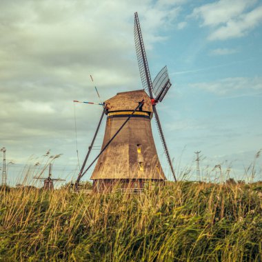 Geleneksel Hollanda yel değirmeni Kinderdijk polarında uzun çimlerin üzerinde yükseliyor