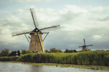 UNESCO Miras sitesi Kinderdijk 'in kırsal manzarası