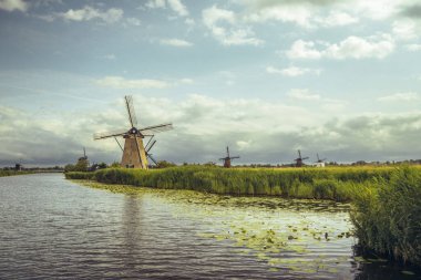 Hollanda 'daki tarihi yel değirmenleriyle dolu barışçıl polen manzarası