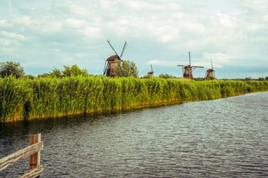 Kinderdijk 'in otantik yel değirmenleri suyun üzerinde