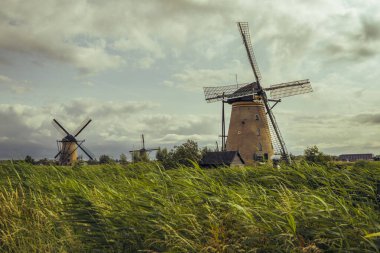 Kinderdijk 'teki nehir boyunca tarihi taş ve sazdan yel değirmenleri.