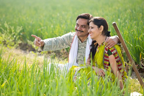 快乐的印第安夫妇农民在农田里收割庄稼 — 图库照片
