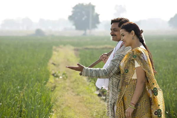 快乐的印第安夫妇农民在农田里收割庄稼 — 图库照片