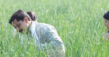 Açık tarım alanında mutlu bir Hintli çiftçi.