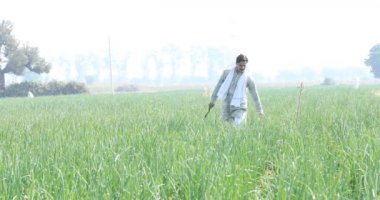 Açık tarım alanında mutlu bir Hintli çiftçi.