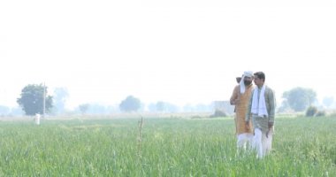 Açık tarım alanında mutlu bir Hintli çiftçi.