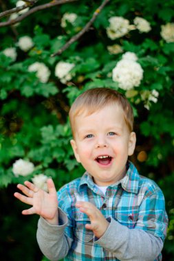 Sarışın çocuk gülümsüyor. Çocuk ellerini çırpıyor. Ekose gömlekli bir çocuk. Çiçeklerin arka planındaki sarışın çocuk.