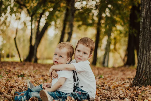 Enfants Dans Parc Automne Parmi Feuillage Frères Câlins Les Temps — Photo