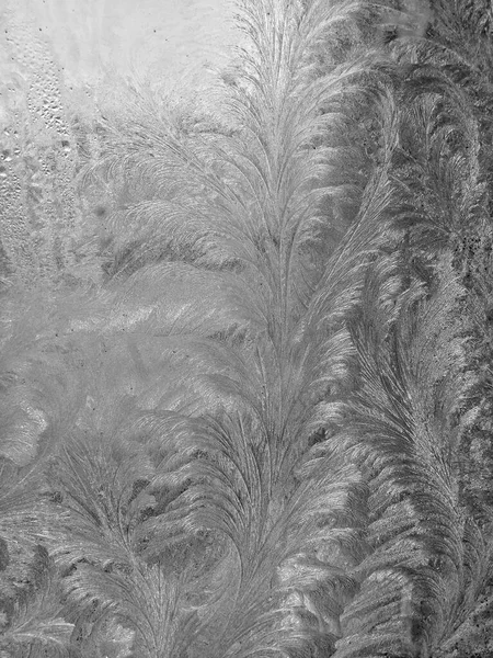 Pattern Windows Icy Pattern Frost Winter Background Frosty Day — Stock Photo, Image