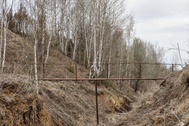 Kuru ağaçlar arasında demir köprü. Geçitten geçeceğiz.